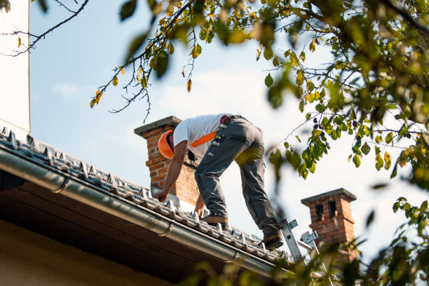 Best Roof Gutter Cleaning  in State Line, PA